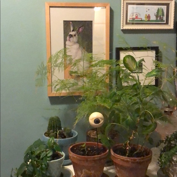 Meet your Posher, Rebecca - Picture 1 of 1